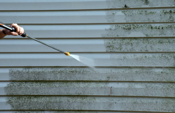 Trusted Maysville, GA Pressure Washing Services Experts